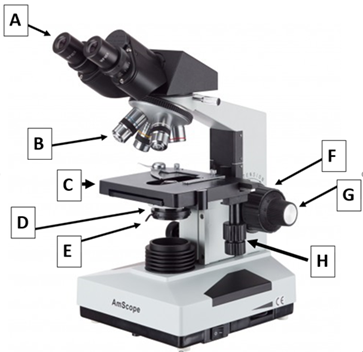 <p>List the function of all microscope parts </p>