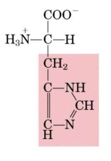 <p>What’s this aminoacid?</p>
