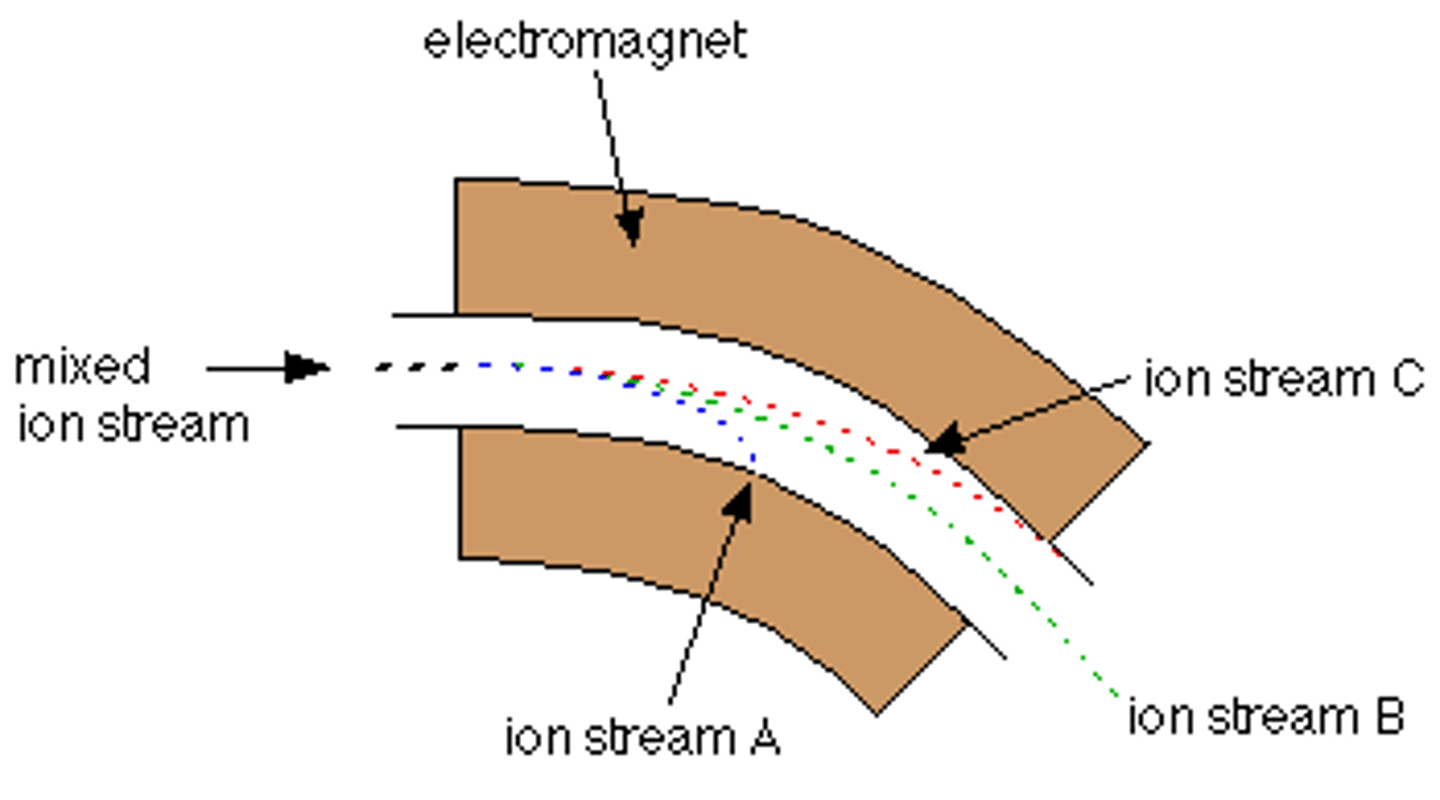 <p>- the radius of the path depends on the value of their m/z</p><p>- ions that are heavier with larger m/z follow a larger radius curve (C)</p><p>- if an ion acquires a 2+ charge, it will be deflected more like stream A (m/z is halved)</p>