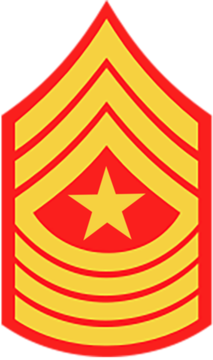 <p>Marine Corps: E-9</p>