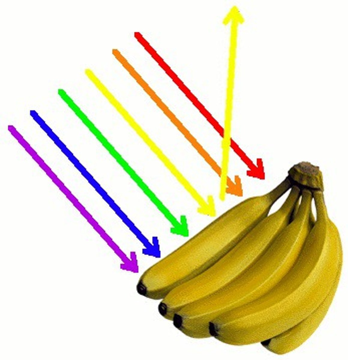 <p>Process where an object takes in light of various wavelengths</p>