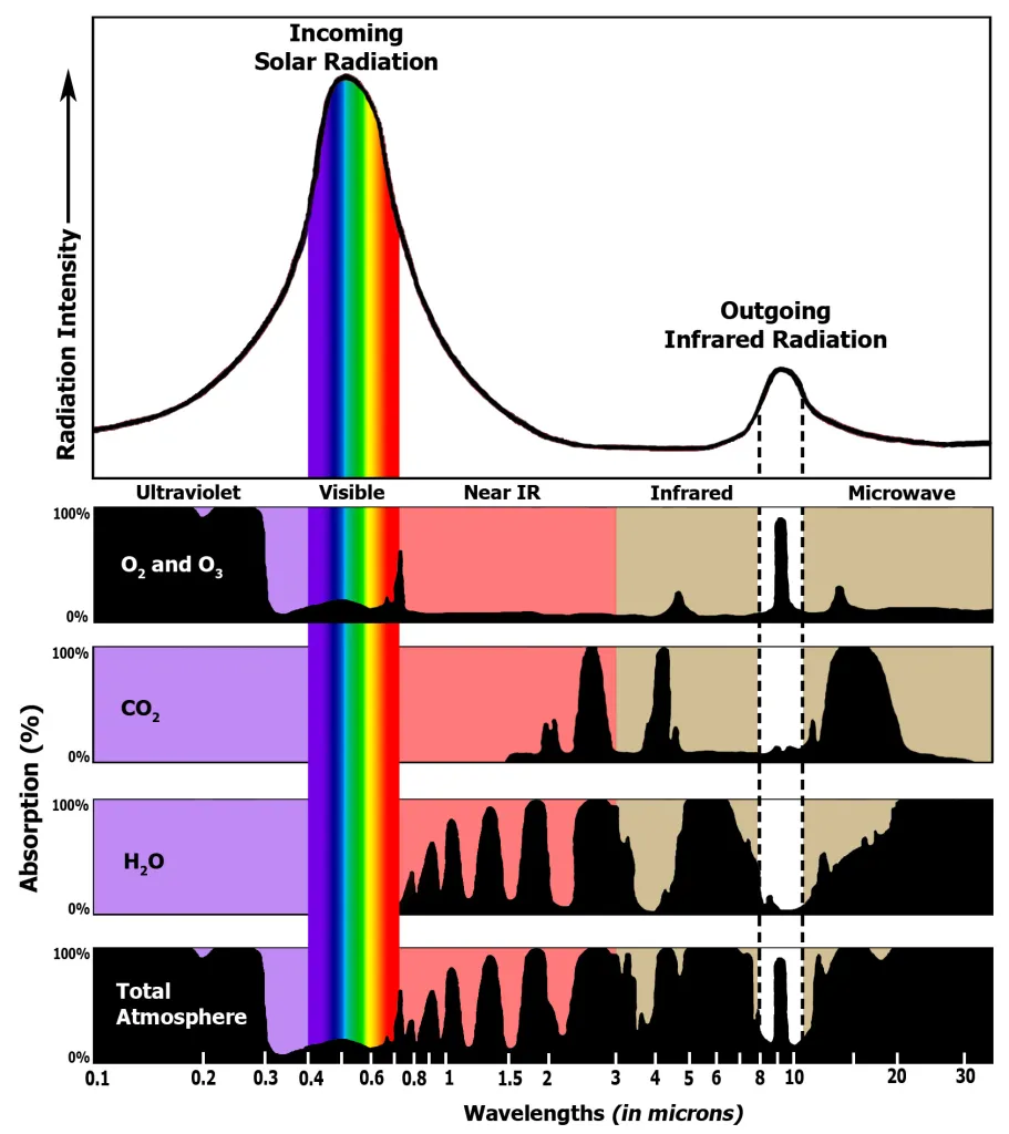 <p>Greenhouse gases <strong>absorb infrared radiation </strong>because its molecules have natural frequencies in the infrared region and readily absorb infrared radiation due to resonance.</p>