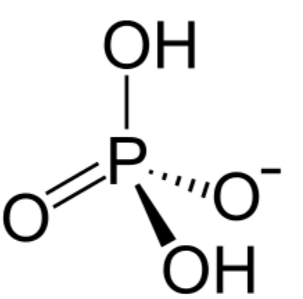 <p><span>two of the hydroxyl groups in phosphoric acid react with hydroxyl groups on other molecules to form two ester bonds<br>found in DNA and RNA backbone<br>2 in phosphodiester bonds, 1 loses H to gain -1 charge</span></p>