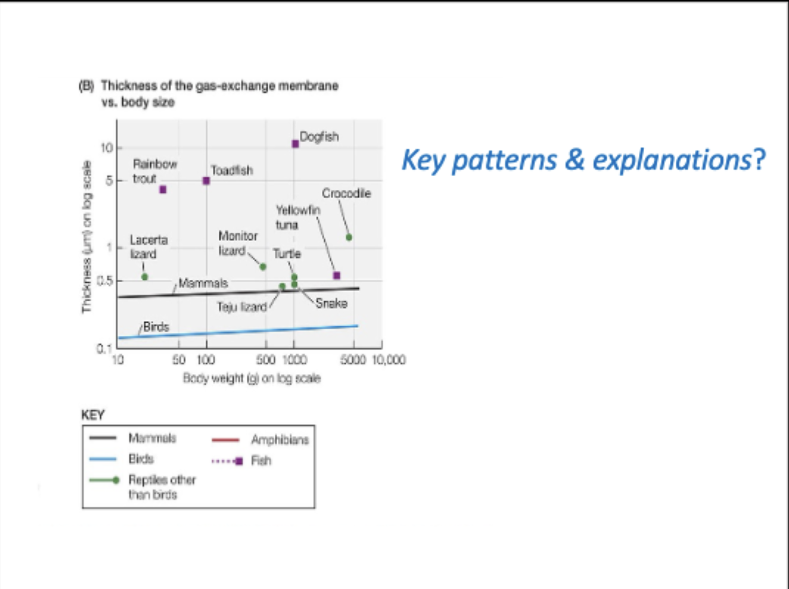 <p>what are the key patterns &amp; explanations?</p>