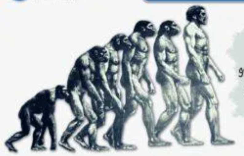 <p><span><span>a scientific explanation for the diversity of life on Earth, proposing that all species of organisms have developed over time through processes such as natural selection and genetic variation. This concept is fundamental to understanding how life is organized and the relationships between different forms of life, emphasizing the continuity and interconnectedness among all living organisms.</span></span></p>