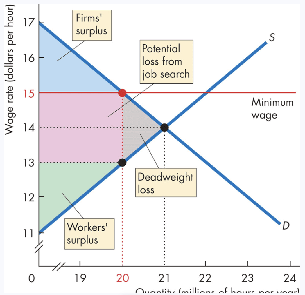 <p>-gov regulation making it illegal to charge lower than a certain price</p><p>-below equilibrium = ineffective, above = effective</p><p>-unregulated market lets laborers find jobs where they are most highly valued (efficient)</p><p><strong>Minimum wage:</strong></p><p>-surplus of labor (excess demand)</p><p>-demand curve= MSB from labor (value of g/s produced)</p><p>-MSB of labor > MSC → deadweight loss shrinks firms/workers surplus</p><p>--b/c Q of labor is leff efficient Q → deadweight loss</p><p>-firm/worker surplus shrink</p><p>-potential loss from inc job search is red rectangle</p><p>-full loss = deadweight + inc se</p>