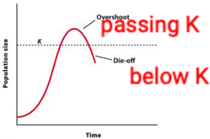 <p>Die off</p>