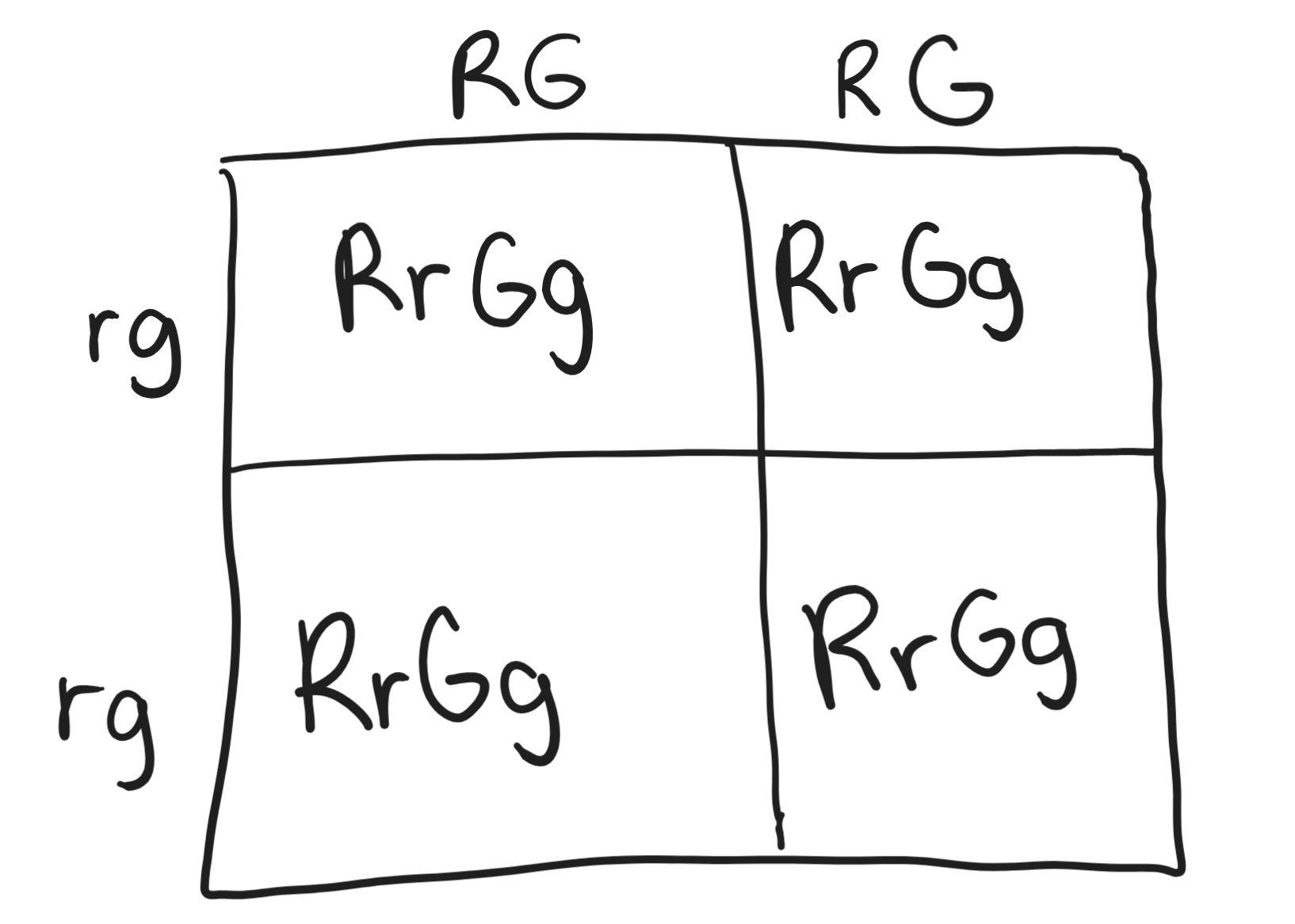 <ul><li><p>Here is a dihybrid cross for when a plant with genotype RRGG (round and yellow seeds) is crossed with a plant with genotype rrgg (wrinkled and green seeds)</p></li><li><p>Draw a second cross for when two of the offspring are crossed</p></li><li><p>Describe phenotypes of the new offspring</p></li></ul><p></p>