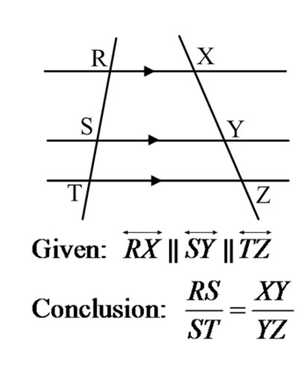 <p>If three parallel lines intersect two transversals, then they divide the transversals proportionally</p>