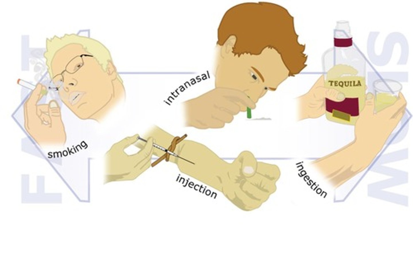 <p>Different methods through which substances are consumed.</p>