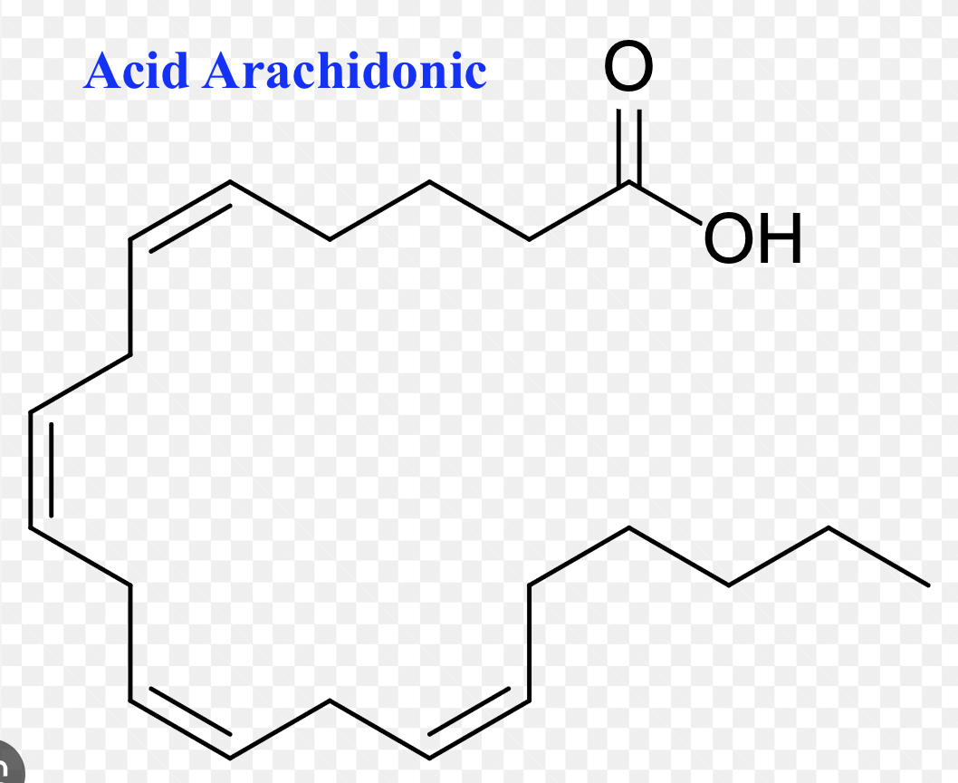 <p><span style="color: blue"><strong>C. Acid oleic &lt; Acid linoleic &lt; Acid linolenic &lt; Acid arachidonic</strong></span></p><p><span style="color: purple"><em>Chữ “n” trong linolenic ngụ ý có nhiều hơn linoleic 1 liên kết đôi <span data-name="arrow_right" data-type="emoji">➡</span> Linolenic có 3 liên kết đôi </em></span></p>