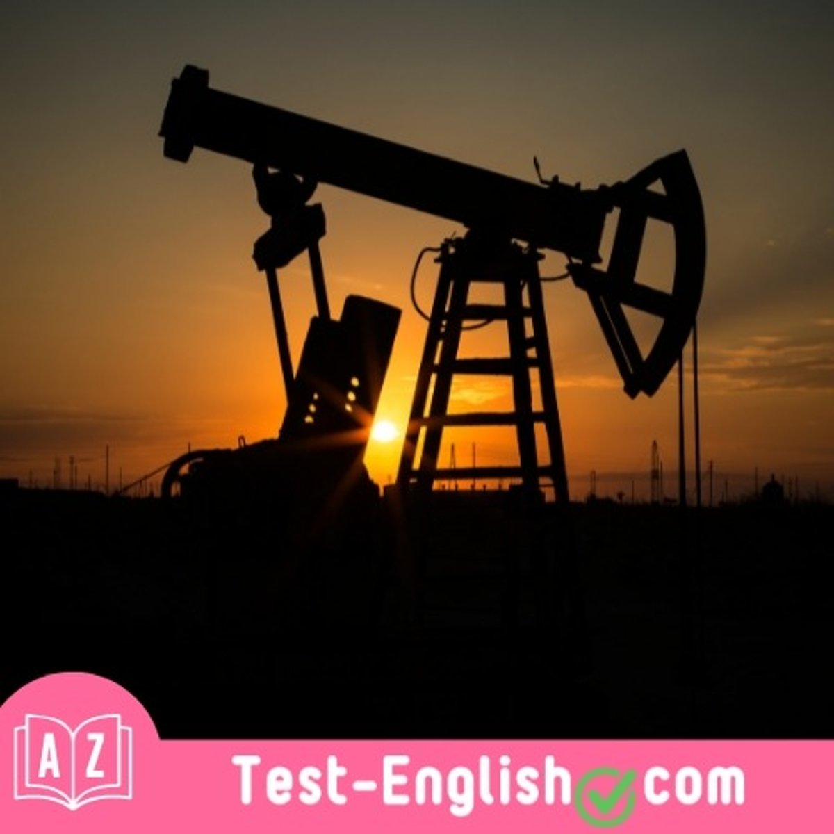 <p>The country is phasing out _____ such as coal and natural gas in favour of cleaner alternatives. (2 words)</p>