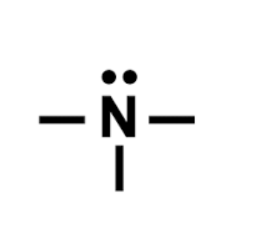 <p>Nitrogen - One Lone Pair &amp; Three Bonds</p>
