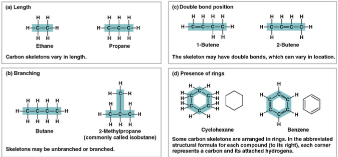 <p>length </p><p>position of double bonds </p><p>branching </p><p>presence of rings </p>