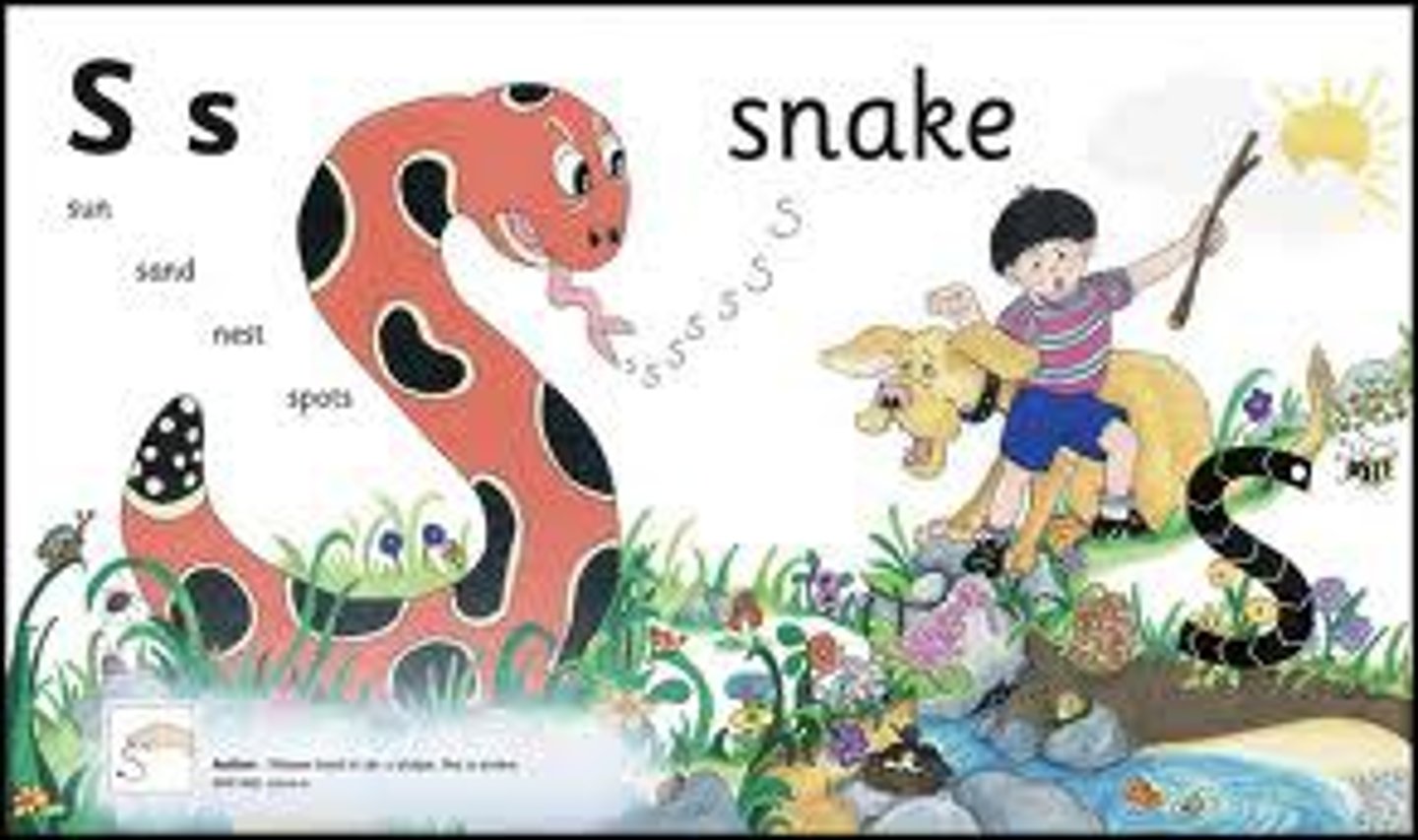 <p>Phonics is understanding the relationship between sounds and spelling patterns (graphemes) representing those sounds.</p><p>For example, when a student sees a c followed by an e, i, or y, the student knows the c makes an /s/ sound, as in the words cycle, circle, and receive. The student associated the letters with the appropriate sound.</p>