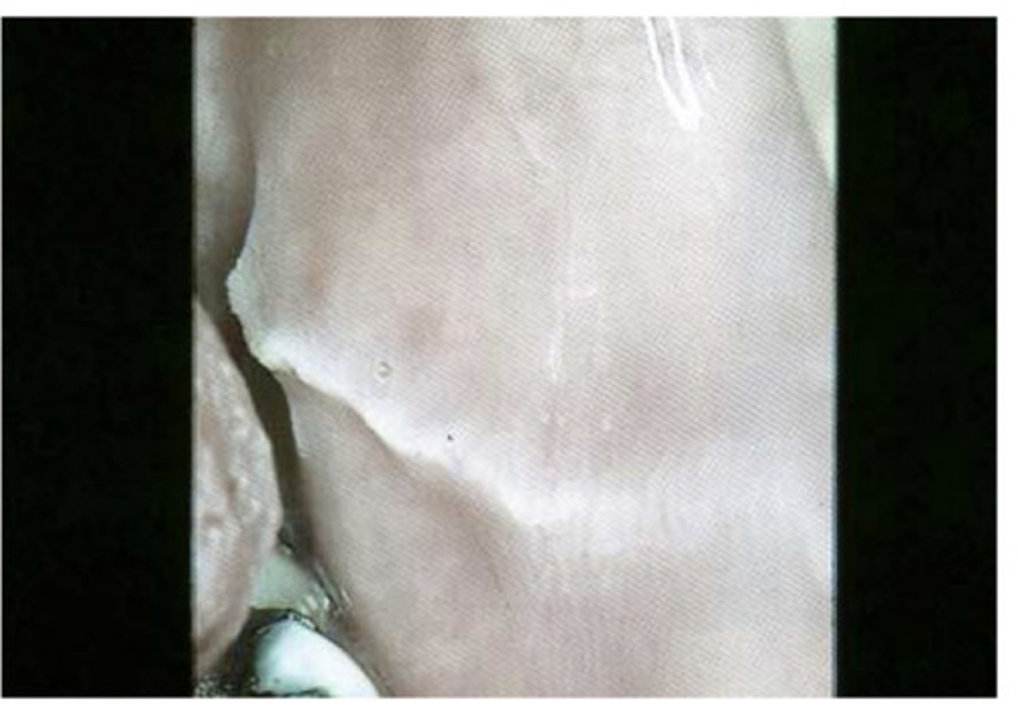 <p>What is this?</p>