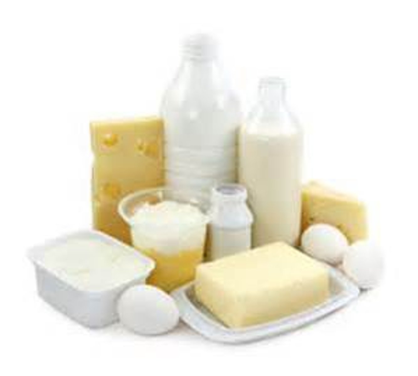 <p>dairy products</p>