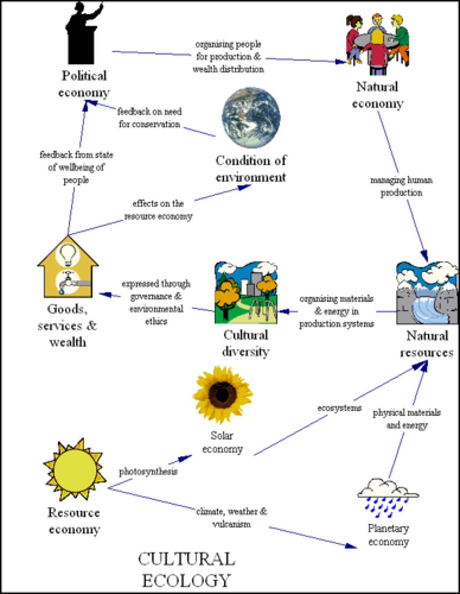 <p>Scientific study of interactions among organisms and between organisms and their environment</p>