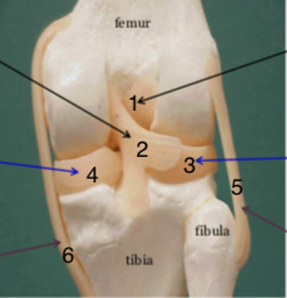 <p>4</p>