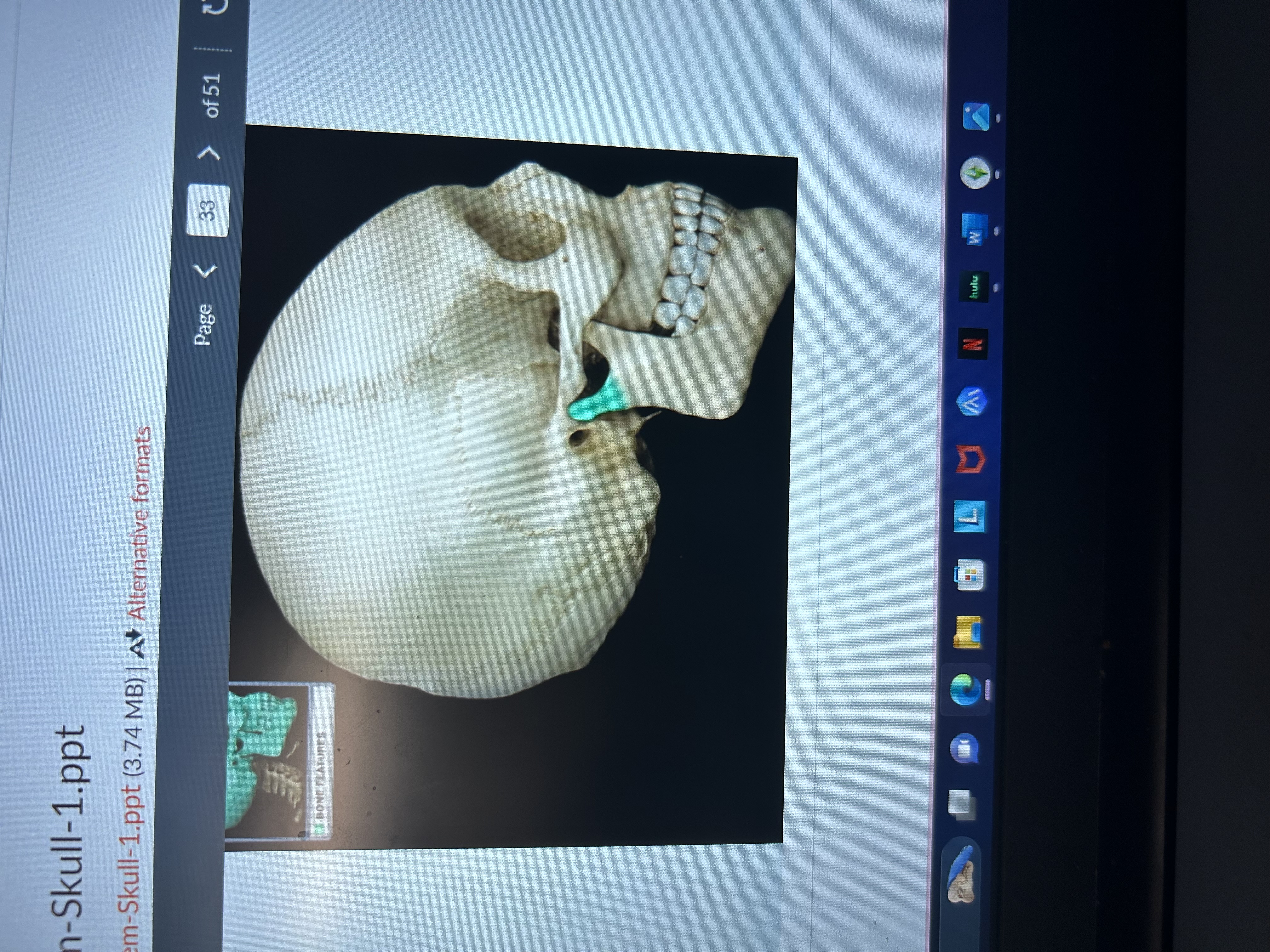 knowt flashcard image