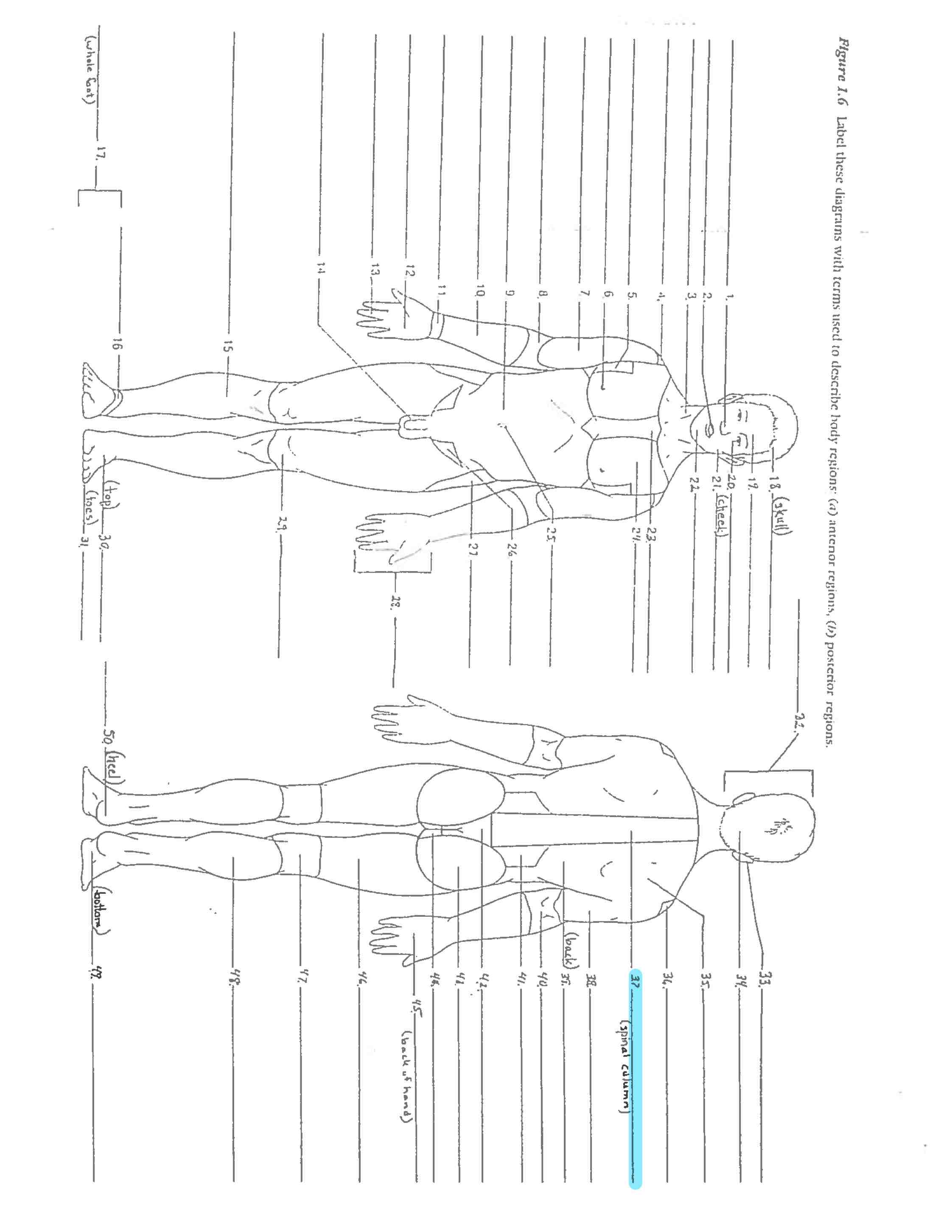 <p>Line 37 </p>
