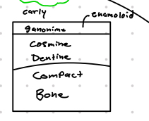<p>Which type of scale is this?</p>