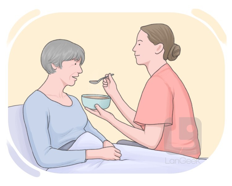 <p>look after</p>
