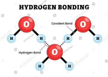 <p>occurs when H is attracted to O, F or N (have high EN → high difference in EN → stronger dipole-dipole forces)</p><p>(<span>δ<sup>+ </sup></span>H of one molecule is attracted to δ<sup>-</sup> O, F or N of another molecule)</p>