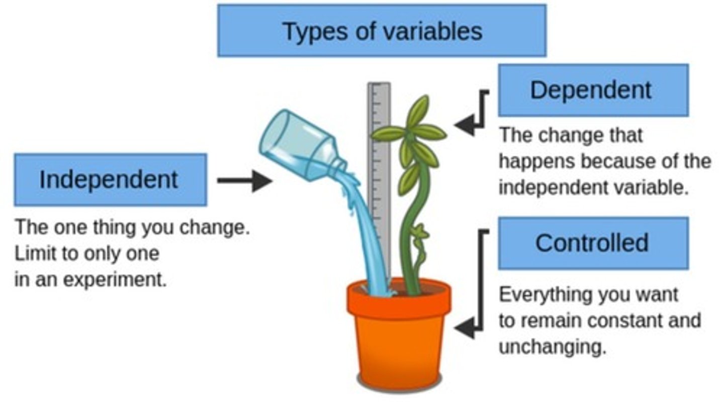 <p>A variable is anything that can change during an experiment.</p>