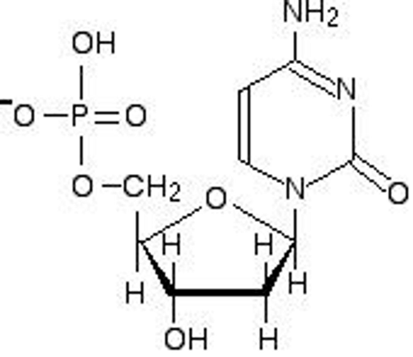 <p>Nucleotides, which consist of a 5-carbon sugar, a phosphate group, and a nitrogenous base.</p>