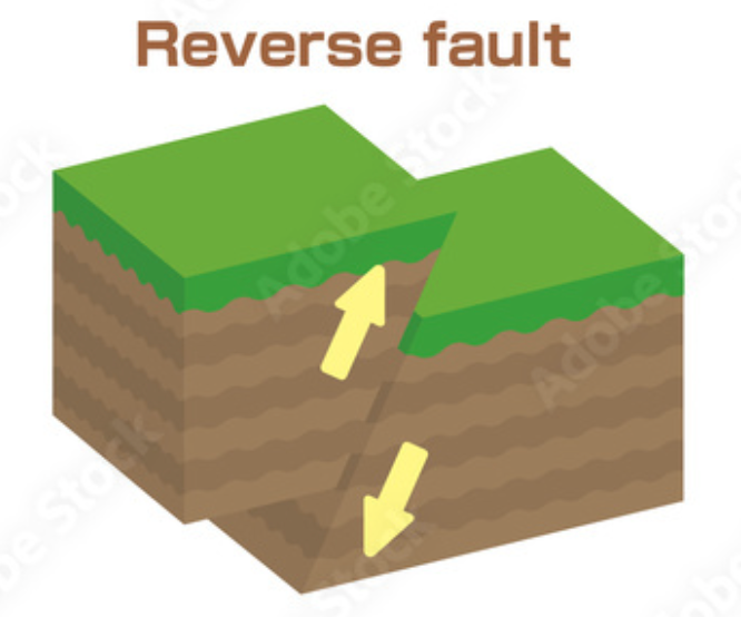 a steeply dipping fault on which the hanging-wall block slides up