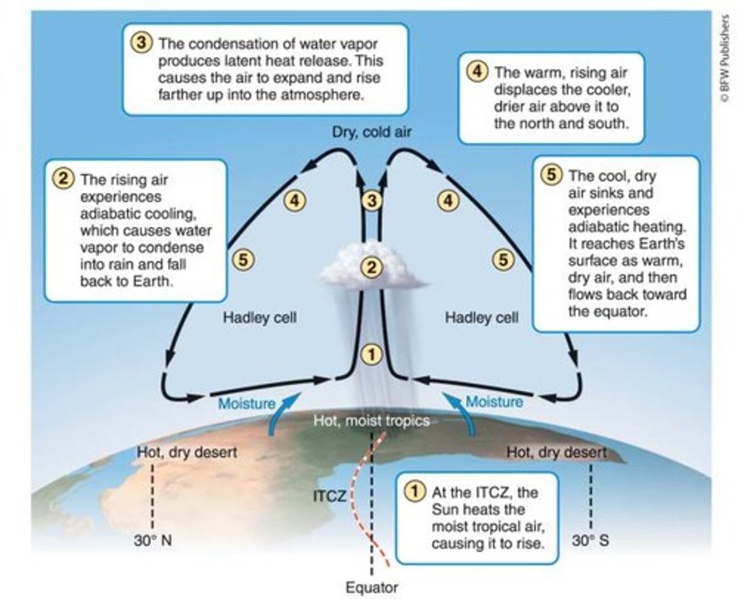 <p>Circular motion in heated fluids where warm rises and cool sinks.</p>
