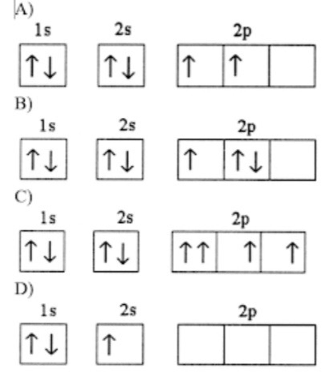 <p>C</p>