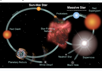 <p>Supernova explosion, and leave behind a neutron star (8-40 solar masses) or a black hole (+40 solar masses)</p>