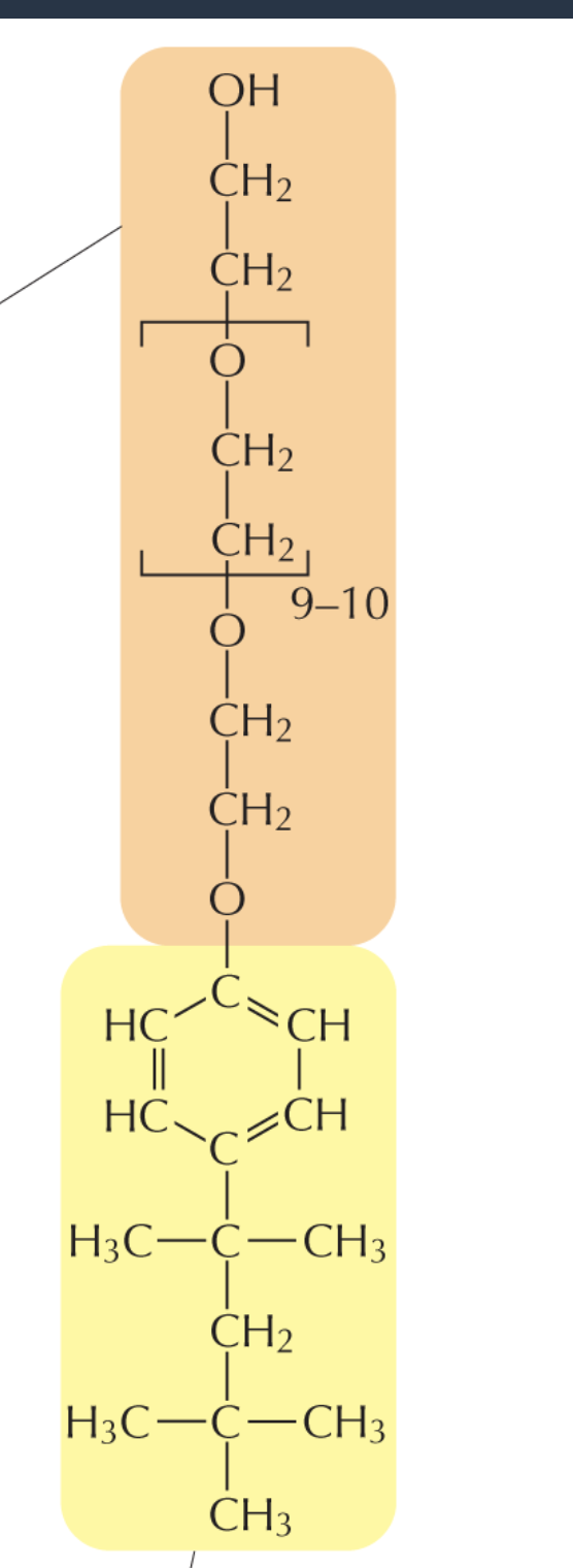 <ul><li><p>Mild nonionic detergent </p></li><li><p>it has nonionized but polar structure at its hydrophillic end </p></li><li><p>Hydrophobic portion in yellow</p></li><li><p>Mixture of compounds in the region in brackets repeated 9 or 10 times </p></li></ul><p></p>