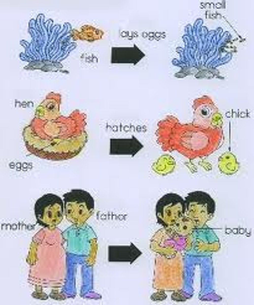 <p>Het proces van groeien en leren door de keuzes die je maakt.</p>
