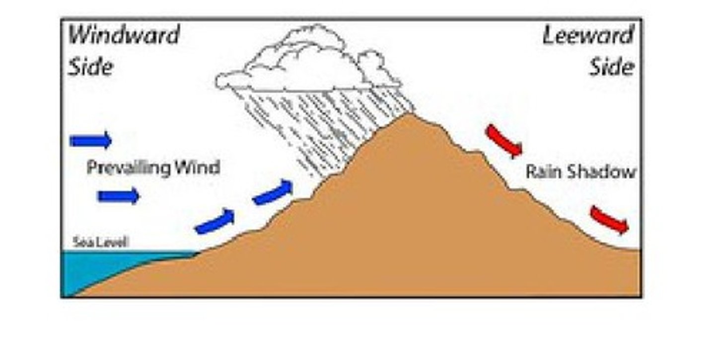 <p>Windward uplift cools and rains; leeward descent warms and dries.</p>