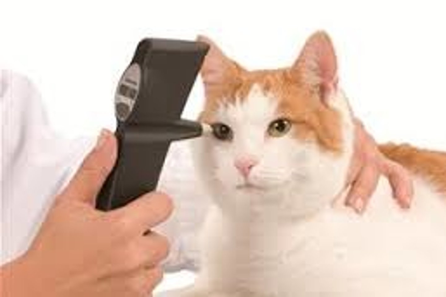 <p>measures intraocular pressure of the eye</p>