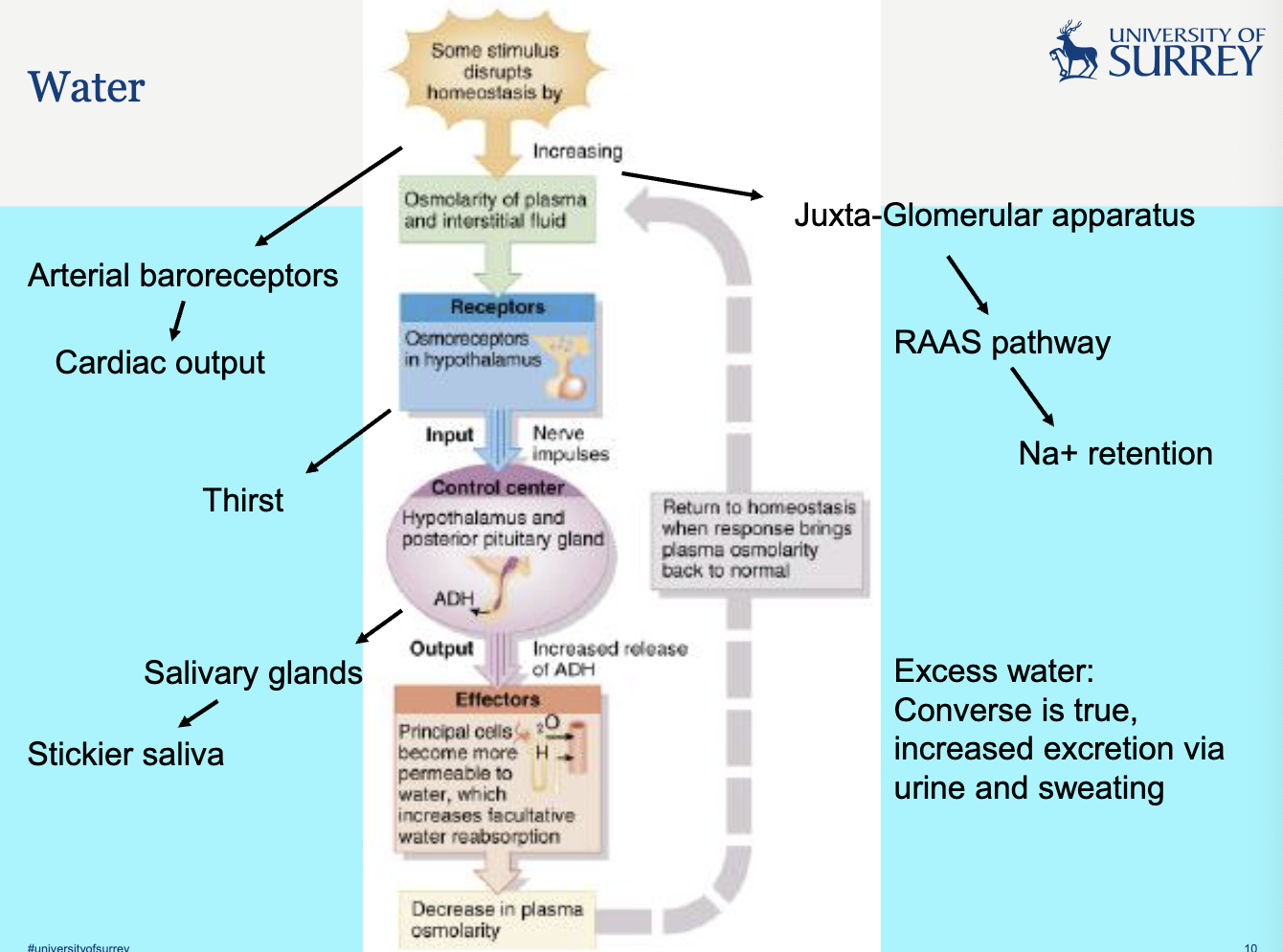 <p>review this when you are revising - check if panapto is finally up</p>