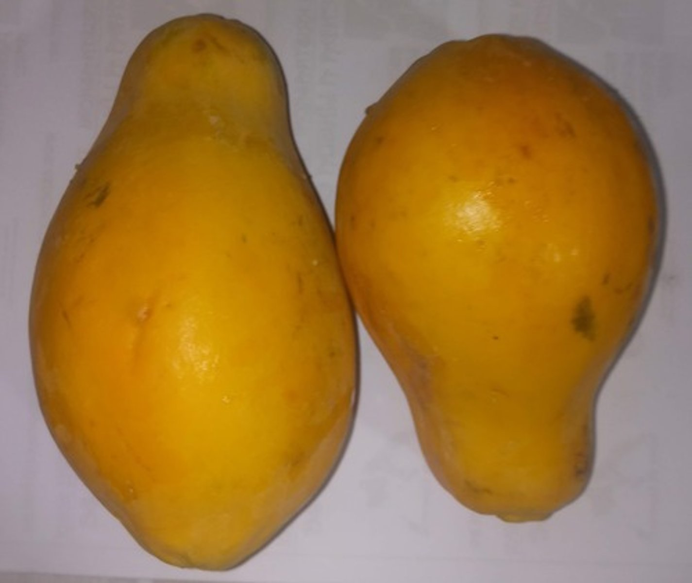 <p>COMO ESTÃO OS MAMÕES? ELES ESTÃO MADUROS.</p>