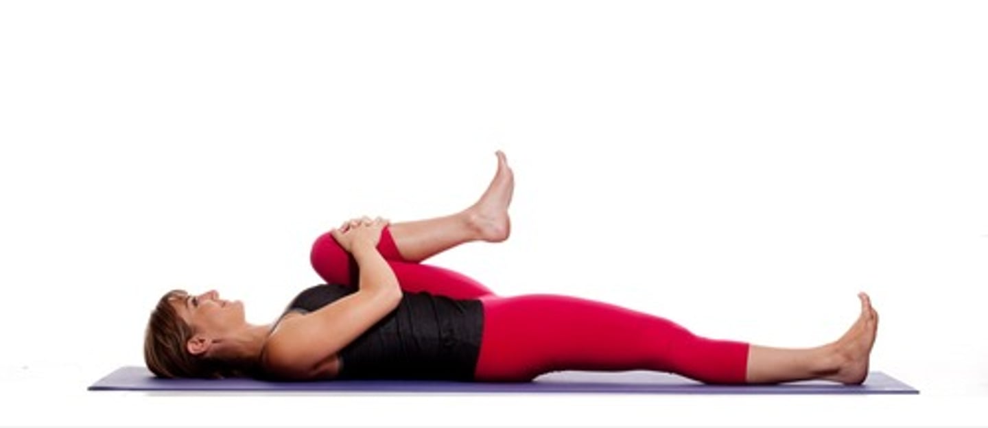 <p>Warm Up Poses</p>