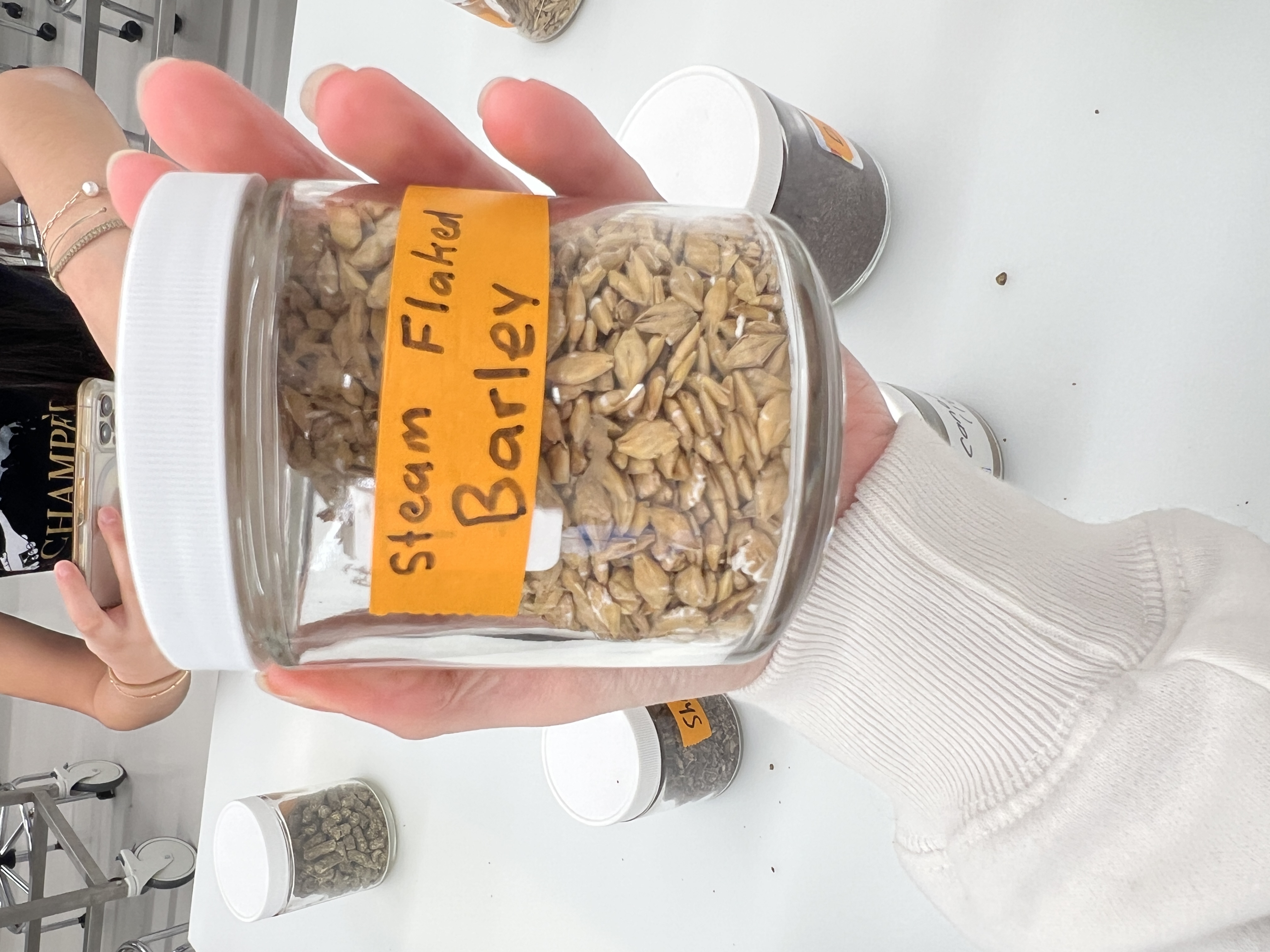 <ul><li><p>IFN # and category: 4 high energy concentrate</p></li><li><p>AAFCO category: grain product</p></li><li><p>appearance: light brown, cracked pieces of barley</p></li></ul><p></p>