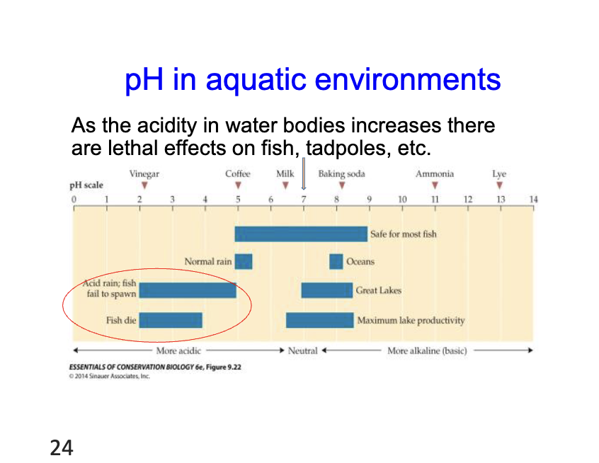 <p>as the acidity in water bodies increase there are lethal affects on fish, tadpoles, etc. </p>