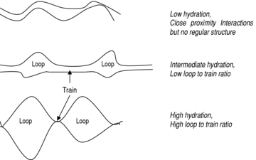 <p>Poly(styrene-co-divinylbenzene) Media:</p><p>‘Loop and Train’ Surface Modification</p>