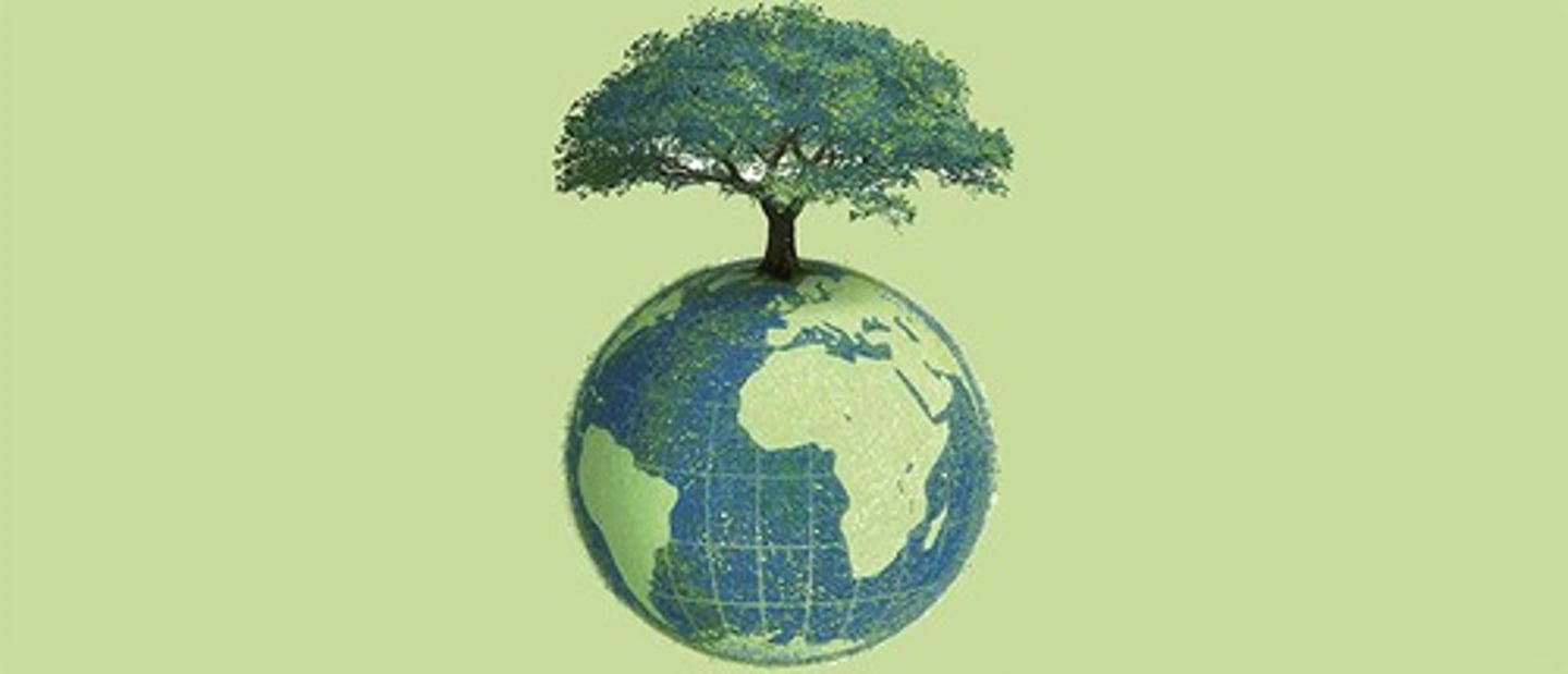 <p>The sustainable management of natural resources to maintain biodiversity.</p>