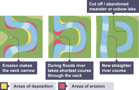 <p>Form from meanders that become extremely curved over time → during high-flow events → river may cut through a narrow neck of land → through <strong><em>hydraulic action</em></strong> and <strong><em>abrasion</em></strong> → shortens river path and leaving the meander loop cut off from the main flow → forms an oxbow lake</p>