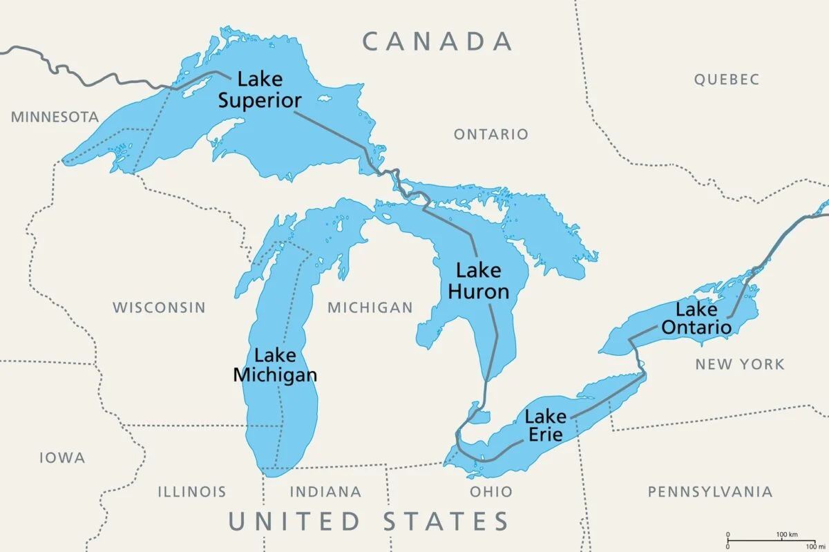 <p>zebra mussels (<em>Dreissena polymorpha</em>) to the Great Lakes in the late 1980s, likely via ballast water from transoceanic ships, has had significant and cascading ecological and economic impacts. As prolific filter feeders, they have dramatically increased water clarity by consuming phytoplankton, which disrupts the base of the aquatic food web and reduces food availability for native species like zooplankton and some fish. Furthermore, zebra mussels attach to nearly any hard surface, including native mussels (often leading to their death), water intake pipes (causing billions of dollars in damage to infrastructure), and fish spawning reefs, altering habitats and impacting fish populations.</p>