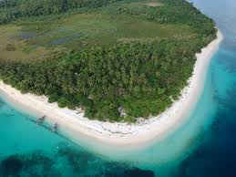 <p><span style="color: rgb(0, 0, 0)">Dazzling azure waters, powdery white sand beaches, and coastline dappled with coconut trees and jungles. Marvel at the splendid scenery while beach hopping in Tikling Island and Subic Beach in Calintaan Island.</span></p>