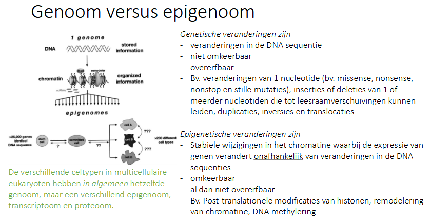 <p>zelfde</p><p>verschillend</p>