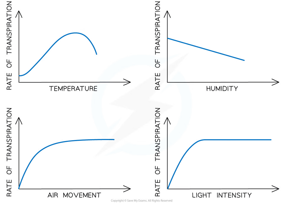 <ul><li><p>Movement of air:</p><ul><li><p>air currents can sweep water molecules away from the leaf surface- maintains concentration gradient and increases rate of transpiration</p></li></ul></li><li><p>Temperature:</p><ul><li><p>higher temp=higher E<sub>k</sub> of molecules= water moves out of leaf at faster rate</p></li><li><p>if temp too high, stomata close to prevent excess water loss</p></li></ul></li><li><p>Light intensity:</p><ul><li><p>stomata close in dark→ reduces rate of transpiration</p></li></ul></li><li><p>Humidity:</p><ul><li><p>high humidity=more water in air= less of a concentration gradient= lower rate of transpiration</p></li></ul></li></ul>